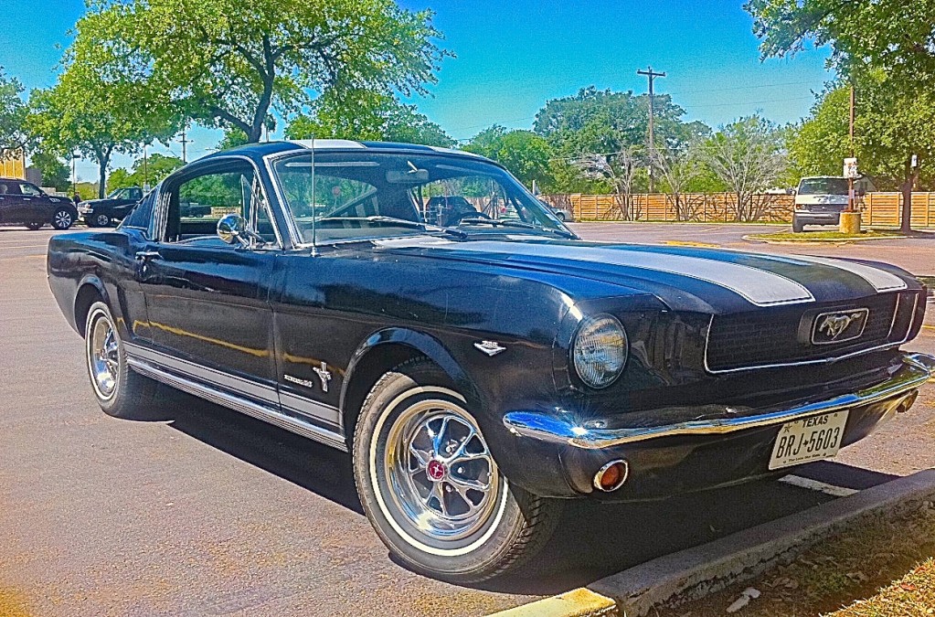 Mustang-in-Austin-TX