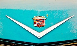 1964-Cadillac-Sedan-South-Lamar-Austin-TX-Emblem
