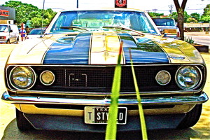 1967 Camaro in Austin TX