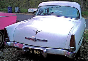 5016044-1954 Studebaker Shorty rear