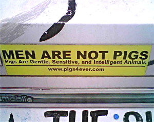 Piggy Art Car in Austin Men are not pigs copy