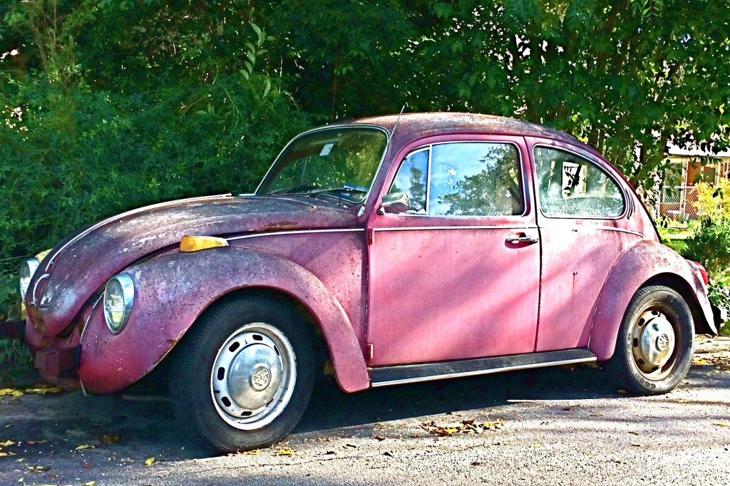 Fuscia VW in Barton Springs Neighborhood, Austin