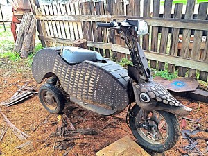 woodworkers scooters armadillo