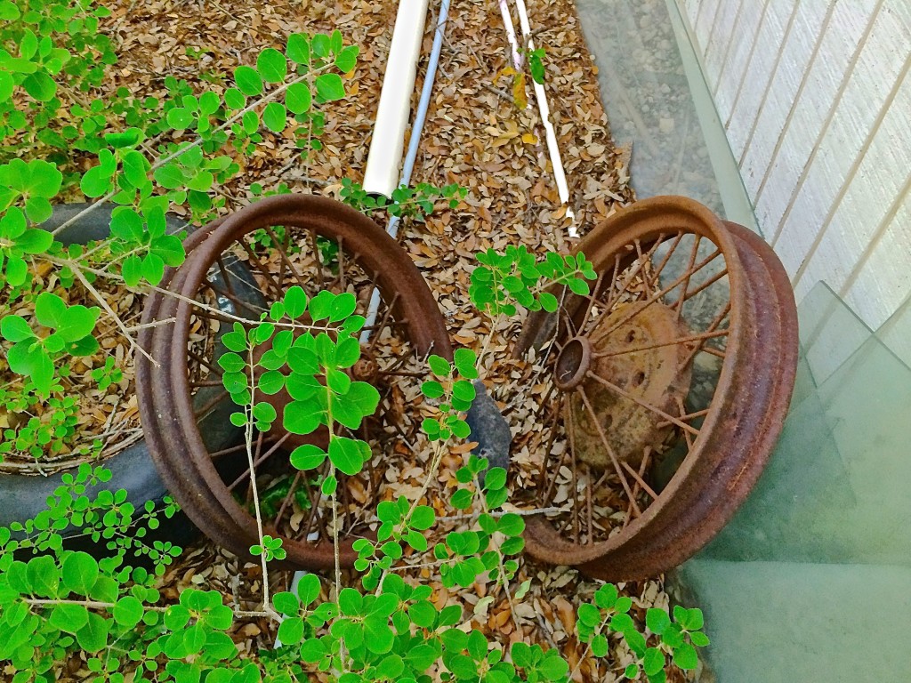 Vintage Wheels behind shed in Austin TX