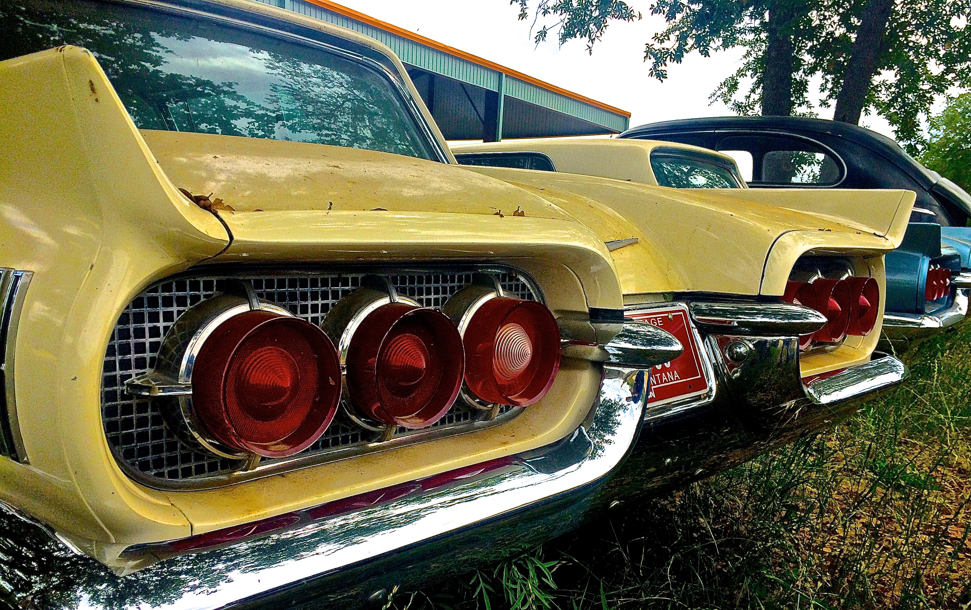 1959 Thunderbird rear view