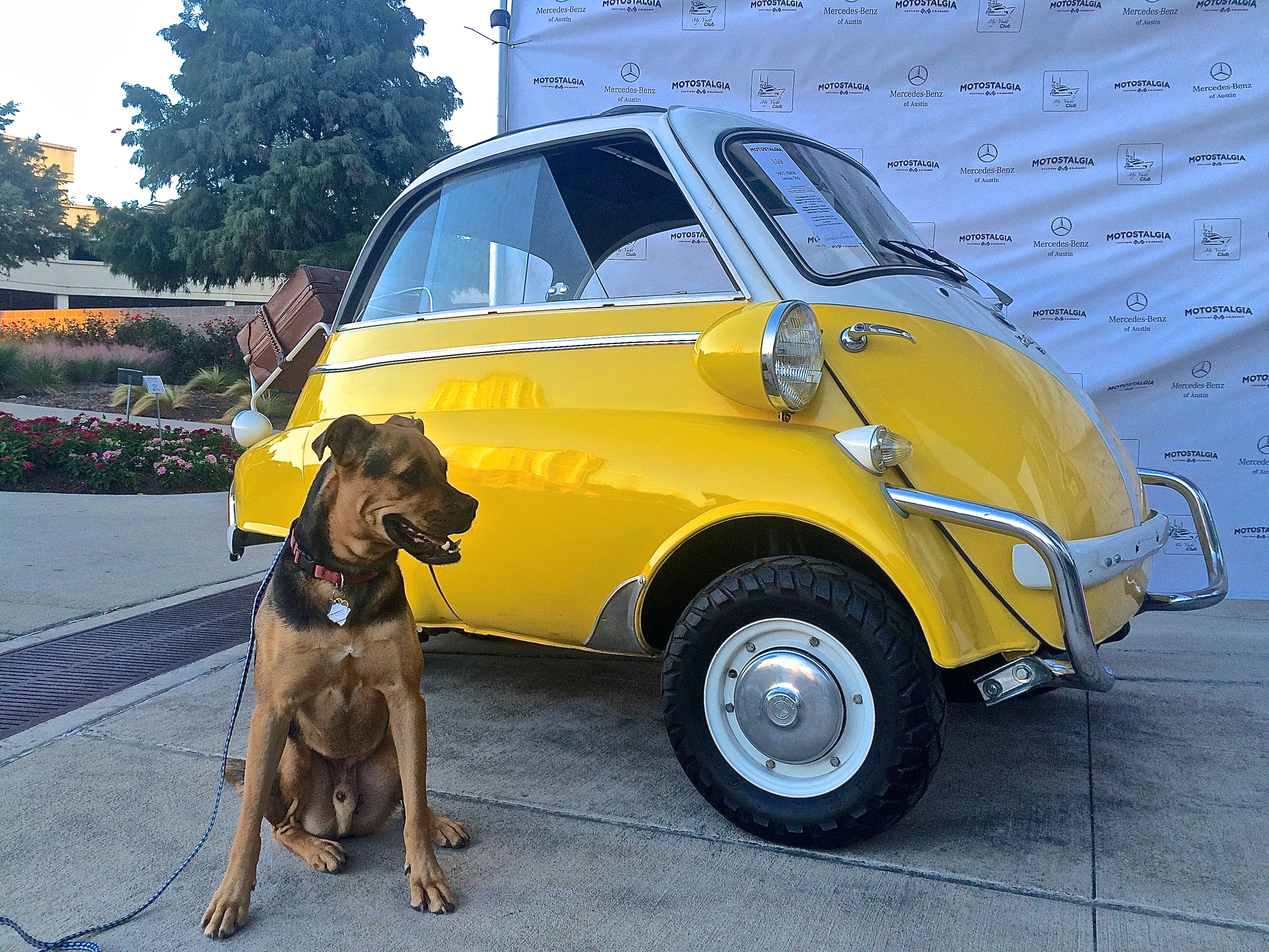 BWM Isetta in Austin at Long Center