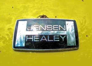 Jensen Healey at Ron Shimek in Austin TX emblem