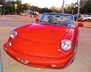 Alfa Romeo Spider Series 4 in Austin TX front