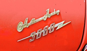 Austin Healey 3000 Mk III in Ausitn TX emblem